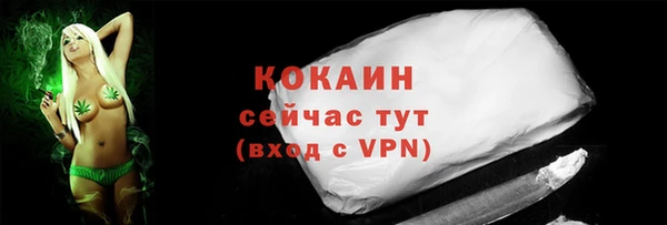 стаф Няндома