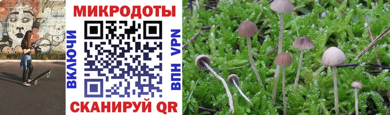 Псилоцибиновые грибы прущие грибы Шилка